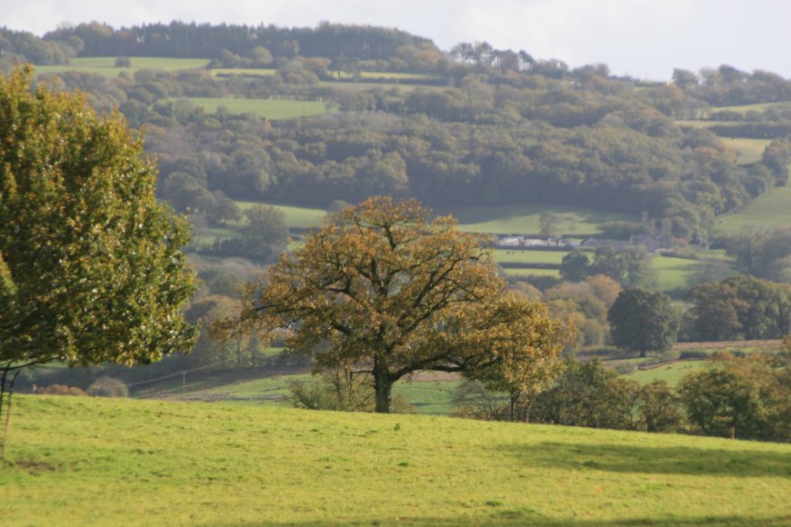 View of the Dinefwr estate
